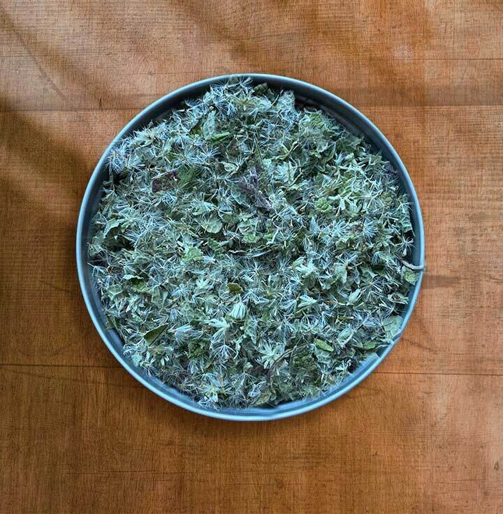 Boneset Leaf & Flower, organic