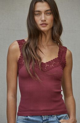 Lace Trim Ribbed Cami