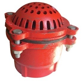 Foot valve strainer