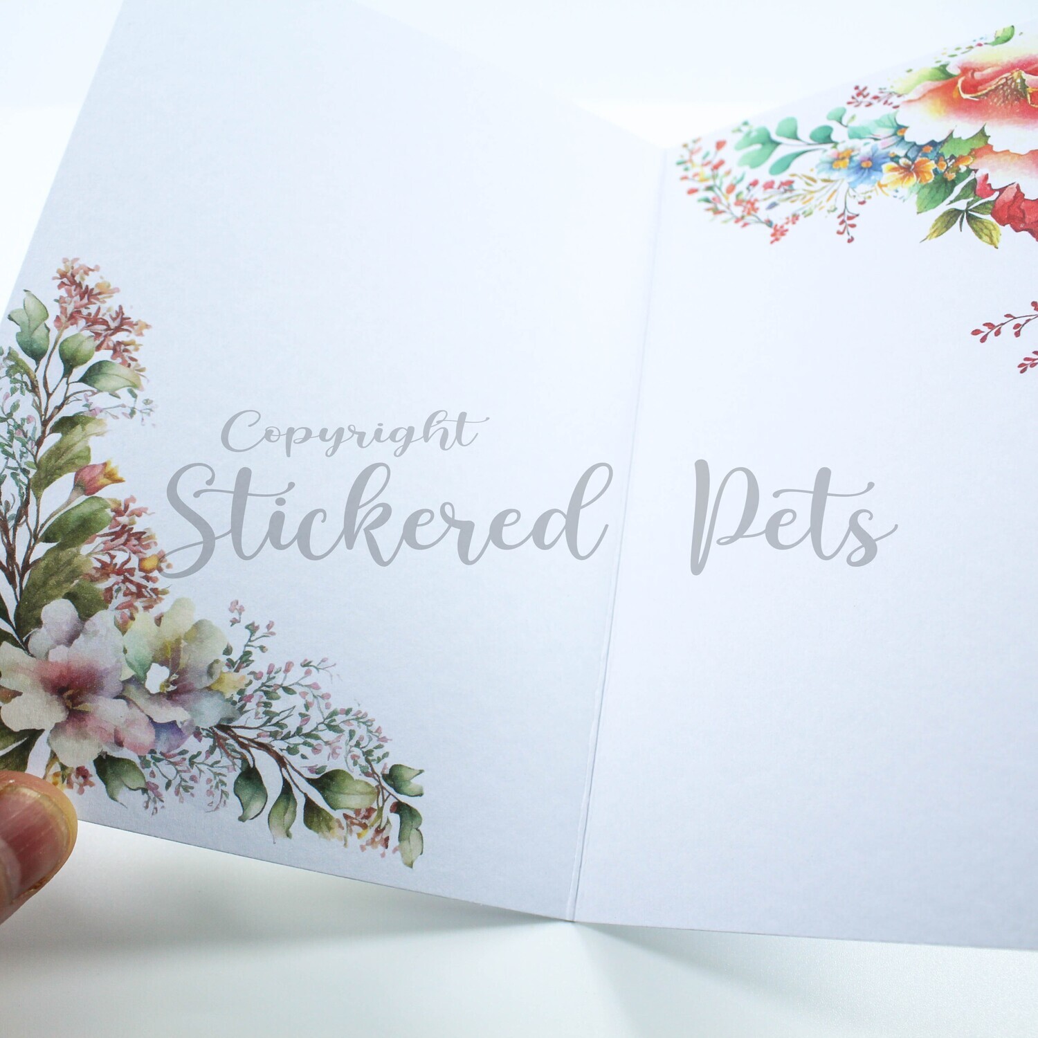 Guinea Pig Card 1