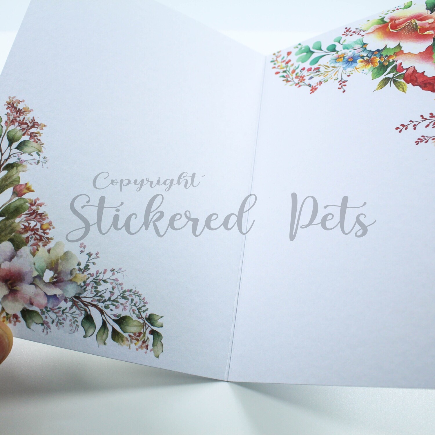 Cat Card 2