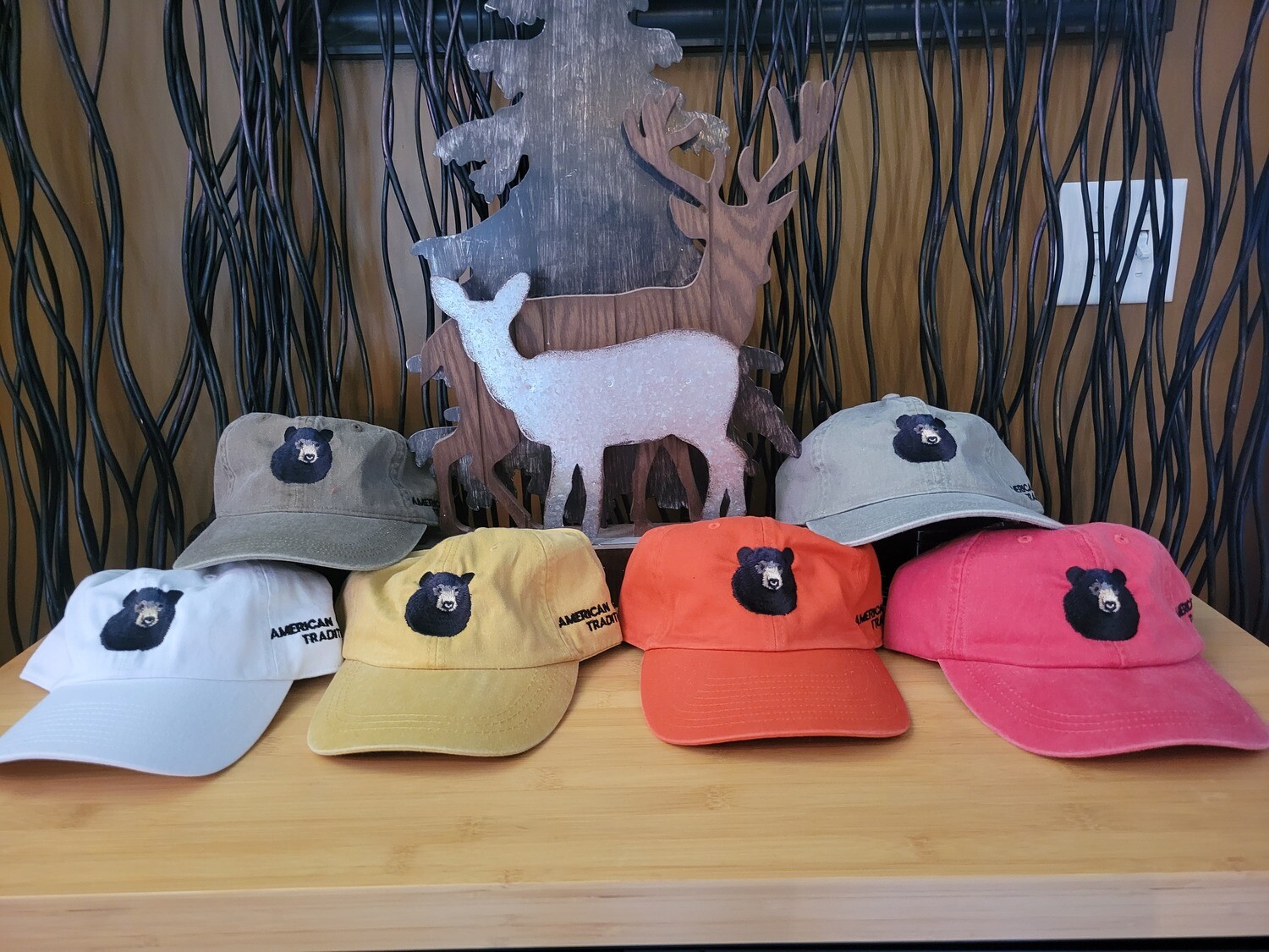AOT Logo Hat