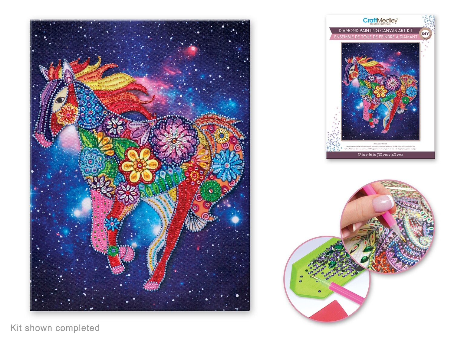 Craft Medley Kit: Diamond Painting Art Kit 12&quot;x16&quot; w/Gems+Tool+Tray Horse
