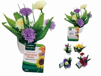 CARNATIONS IN POT 6 HEAD 4ASS