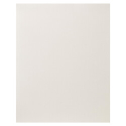 BAZIC 22&quot; X 28&quot; White Poster Board