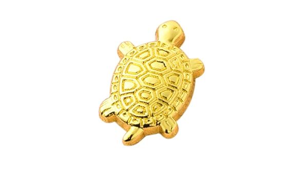 TORTUE PORTE BONHEUR