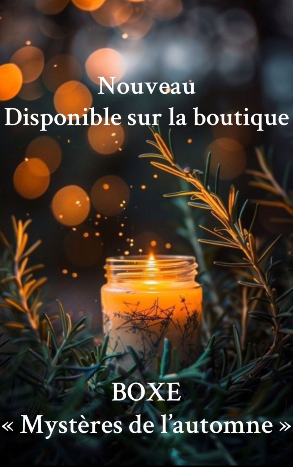 Boxe Mystères de l’Automne