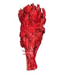 TORCHE SANG DE DRAGON