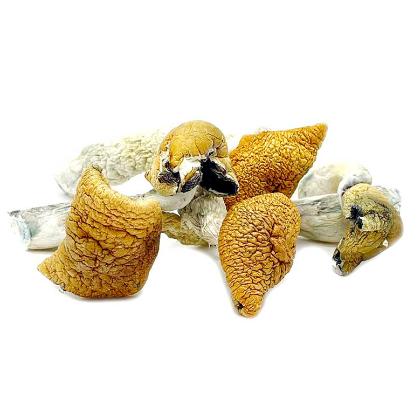 MAGIC MUSHROOMS