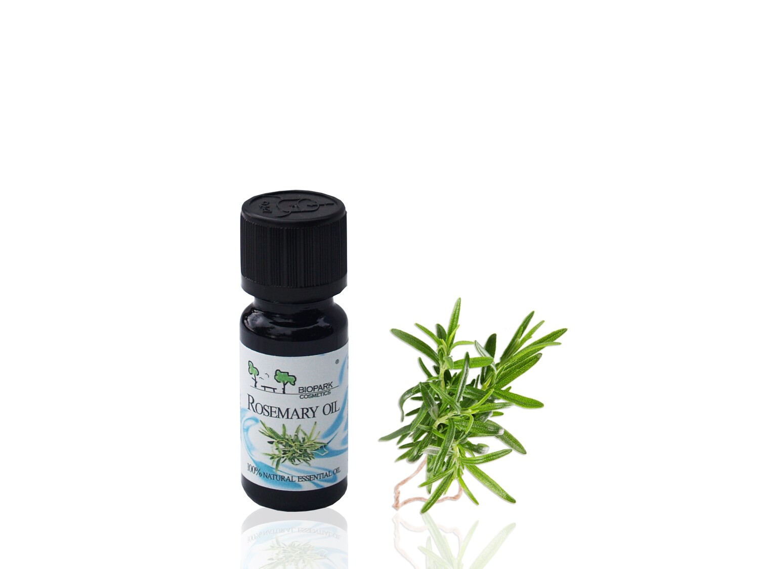 Rosemary Essential Oil, 10ml