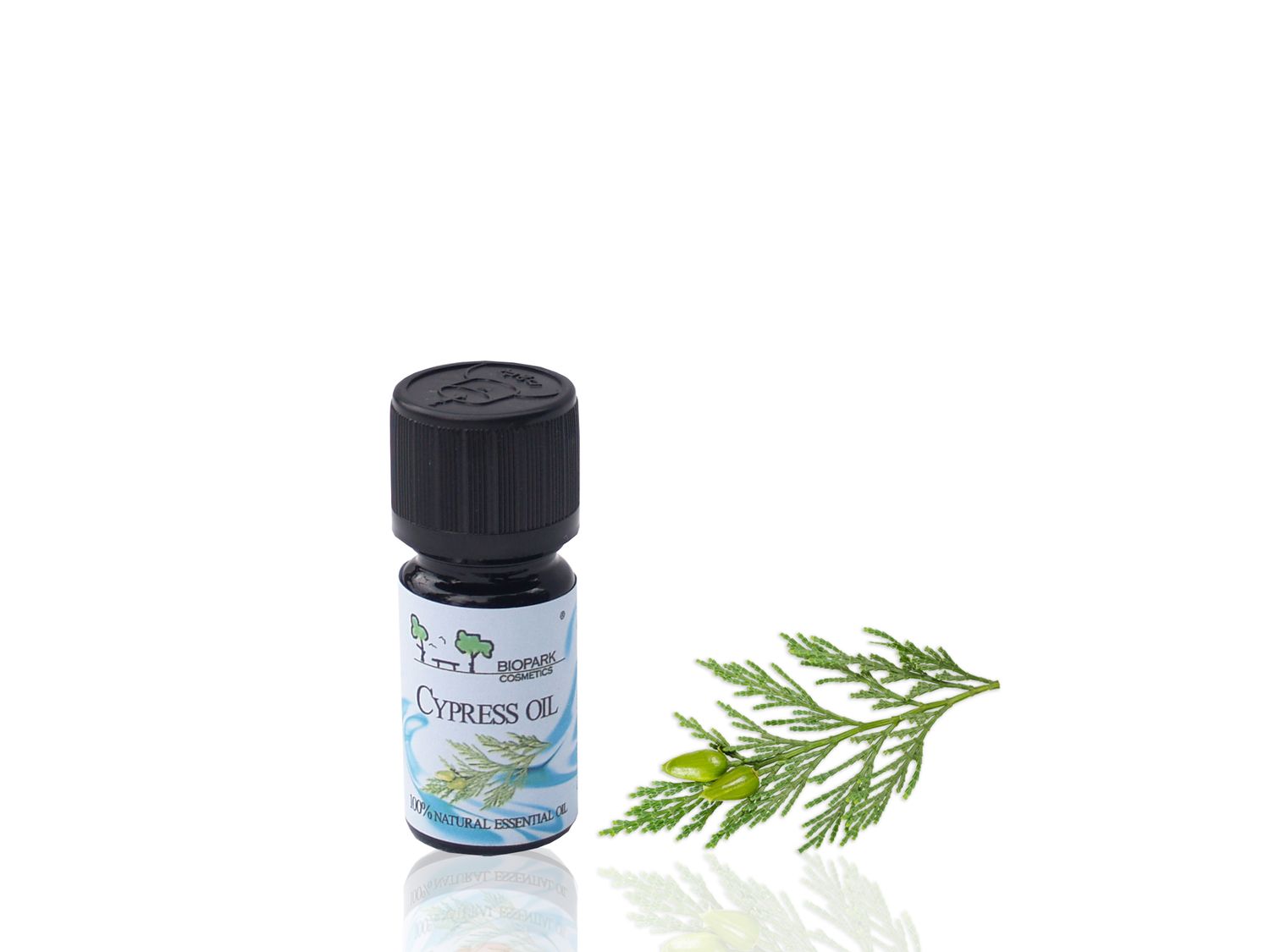 Leaves &amp; Needles Essential Oils
