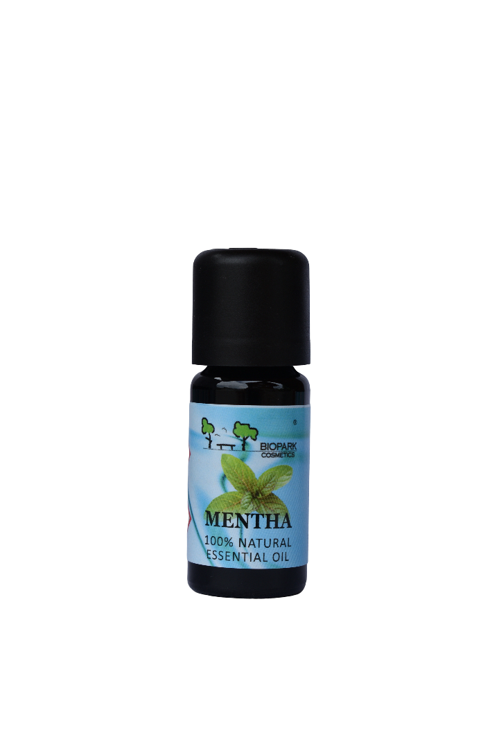 Mentha Essential Oil, 10ml
