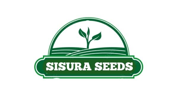 Sisura seeds
