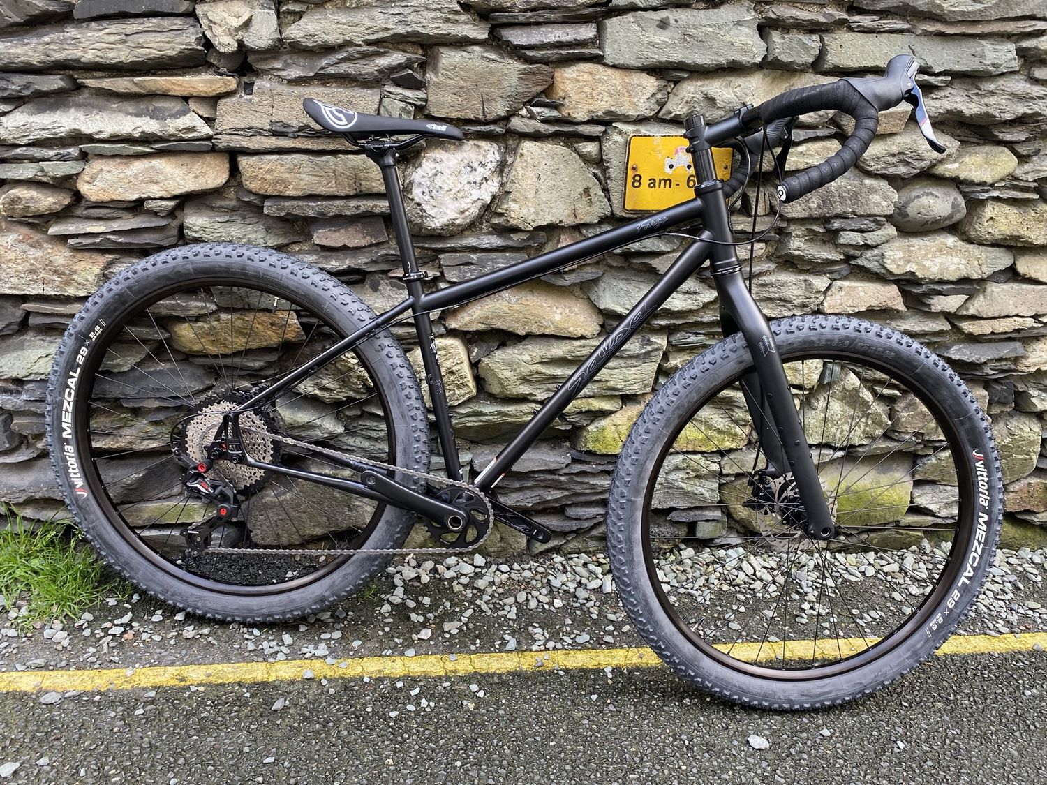 Salsa Fargo - Custom Build