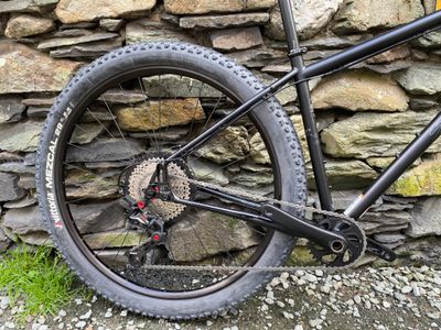 Salsa Fargo - Custom Build - Medium