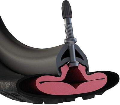 Tannus Armour Tubeless Tyre Insert.