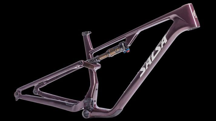 Spearfish C DLX Frameset - Medium