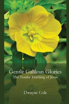 AKAUTH30-DC7 GENTLE GALILEAN GLORIES