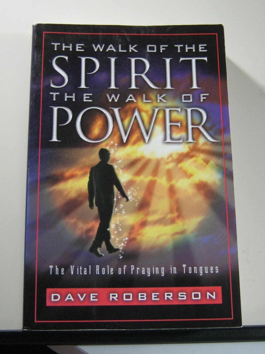 The Walk of the Spirit - The Walk of Power : The Vital Role of Praying in Tongues