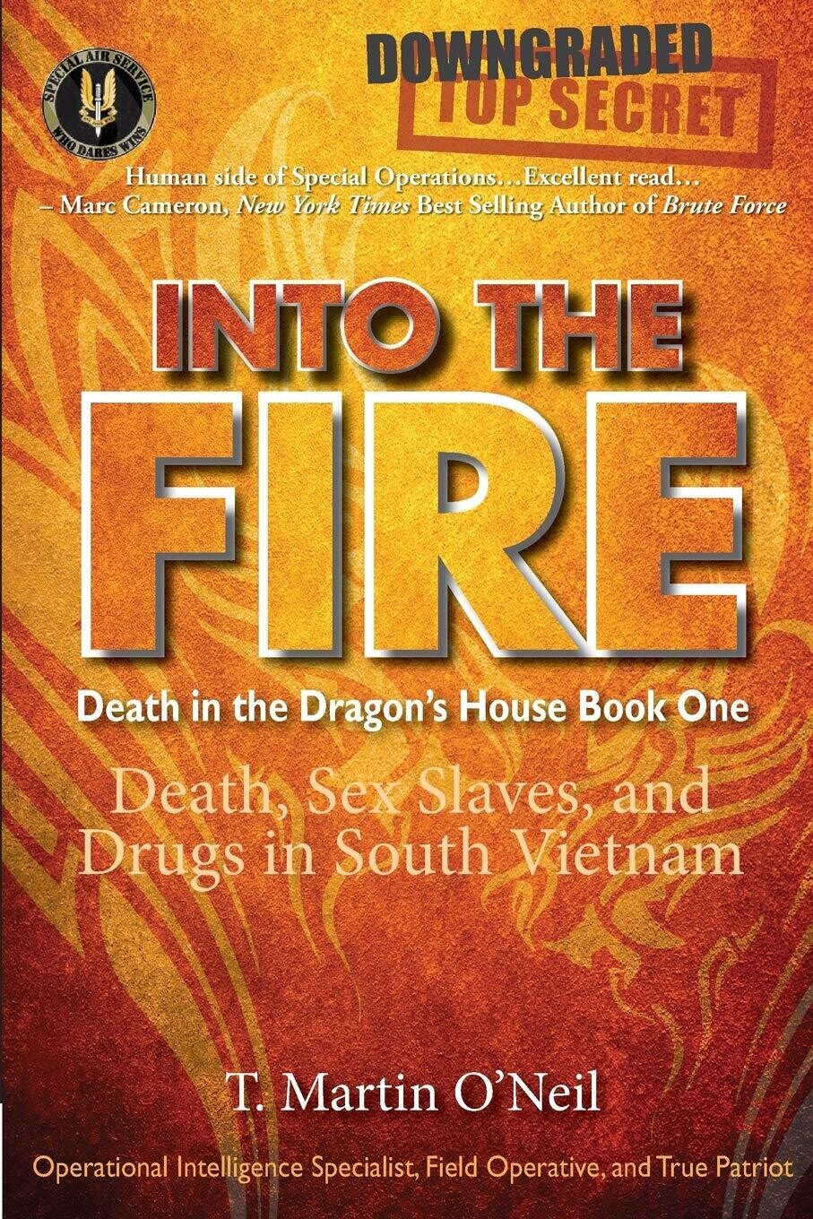 Into The Fire: Death, Sex Slaves, &amp; Drugs in South Vietnam (Death in the Dragon's House Book One)
