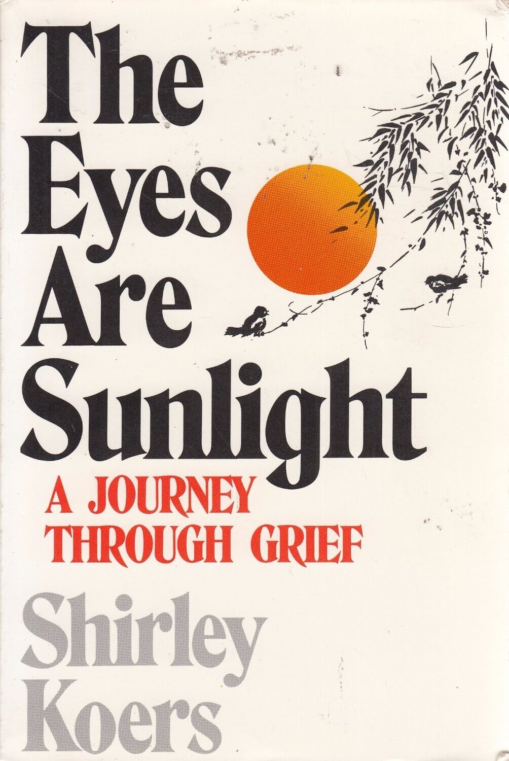 Eyes Are Sunlight: A Journey Through Grief