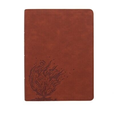 CSB Experiencing God Bible, Burnt Sienna LeatherTouch
