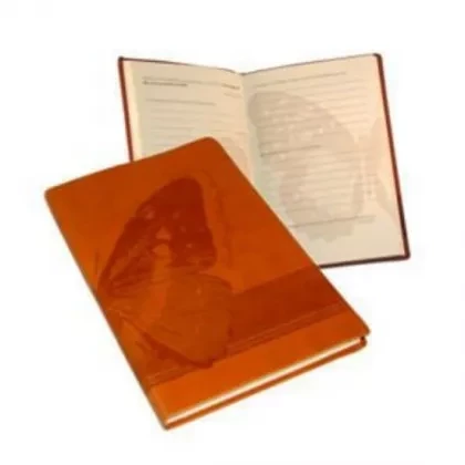 breakthrough healing journal from healing to wholeness