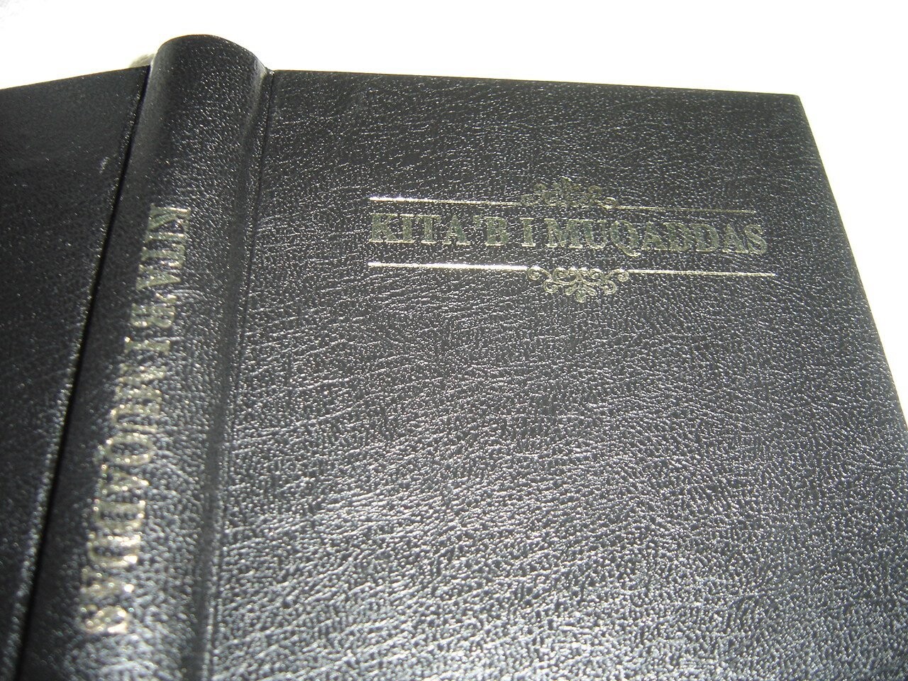 The Holy Bible: Urdu