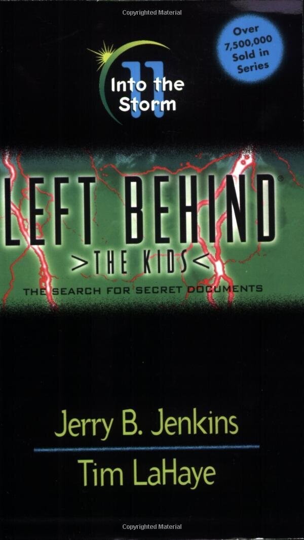 Into The Storm (Left Behind: The Kids #11)