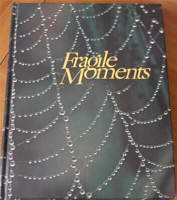 Fragile Moments: when God speaks in whispers
