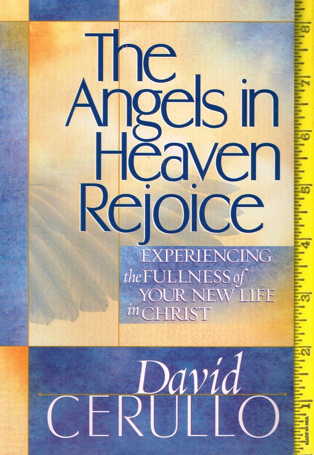 The Angels in Heaven Rejoice