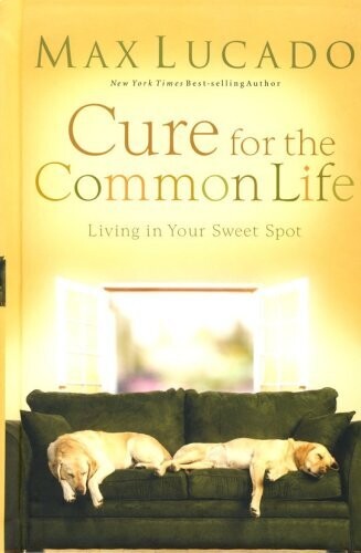 Cure for the Common Life,,