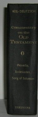 Commentary on the Old Testament, vol 6