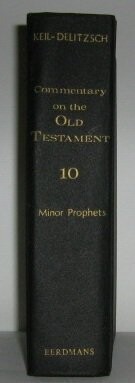 Commentary on the Old Testament, vol 10