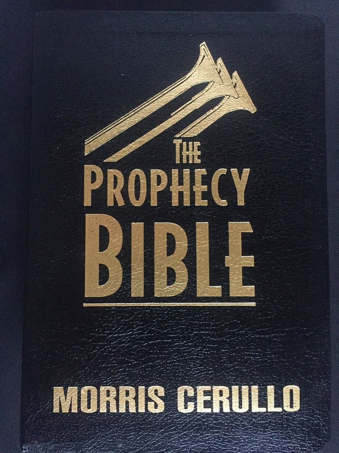The Prophecy Bible