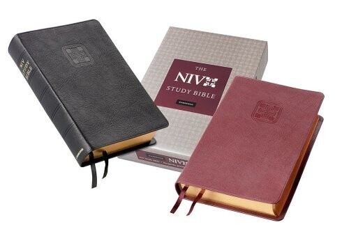 NIV Study Bible Burgundy Goatskin NI686XRS