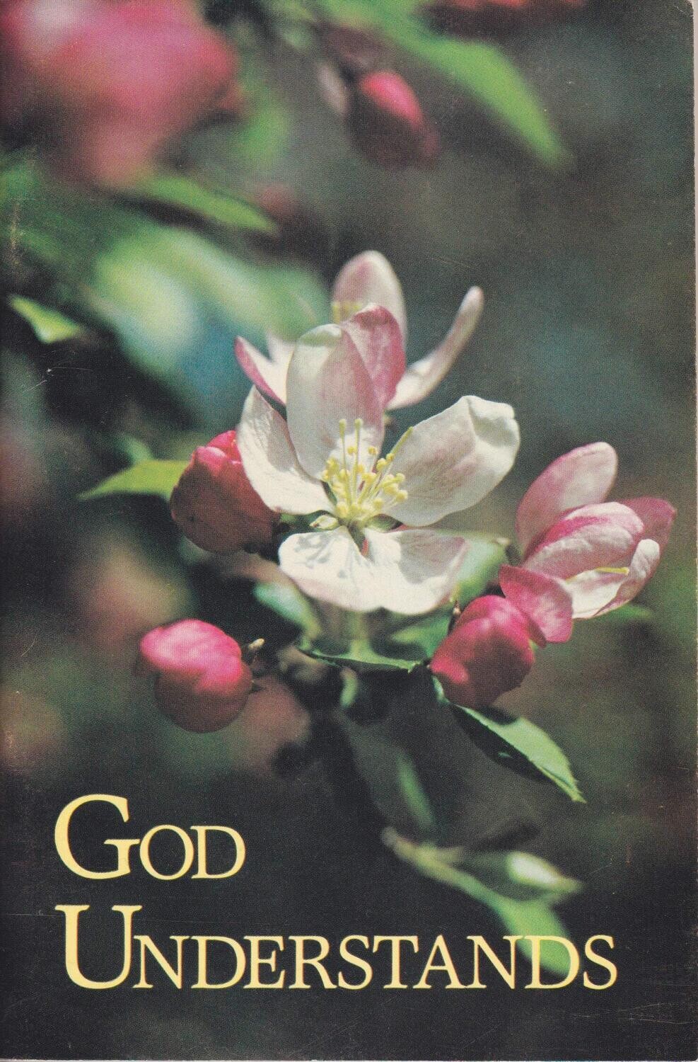 God Understands : Scripture Truths for Those in Sorrow