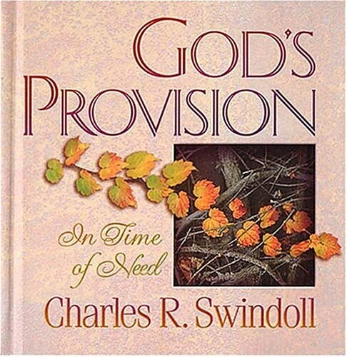 God&#39;s provision