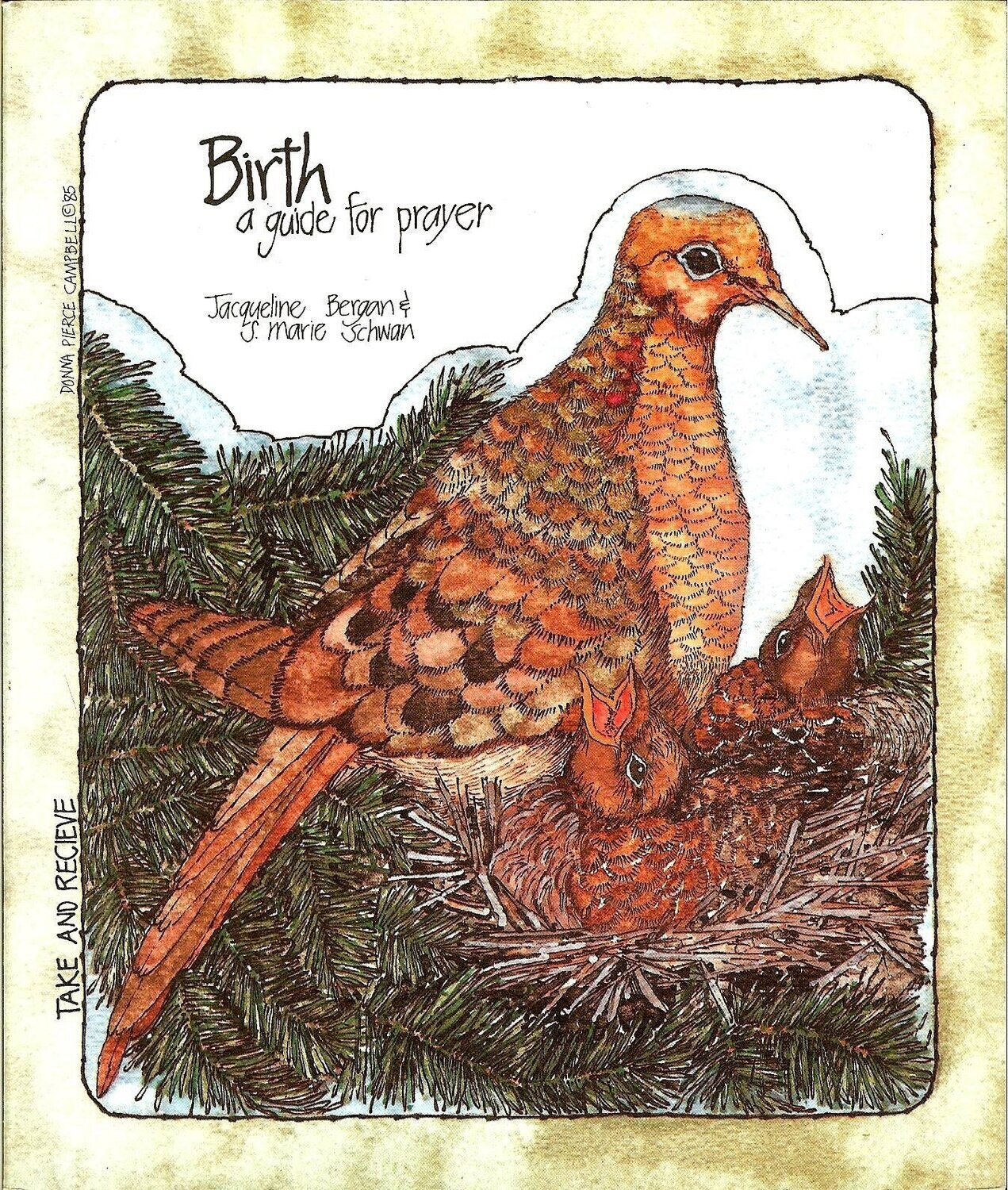 Birth: A Guide for Prayer (Take and Receive series)
