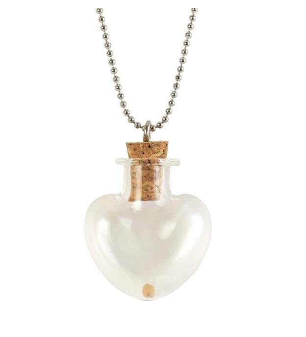  Mustard Seed Heart Bottle Womens 24 Inch Stainless Steel Pendant Necklace in Jewelry Box