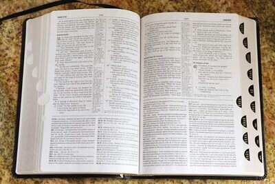 NASB Zondervan Study Bible, Indexed