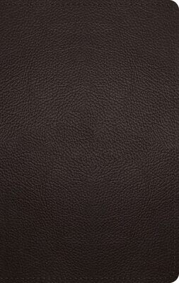 ESV Large Print Personal Size Bible (Buffalo Leather, Deep Brown)