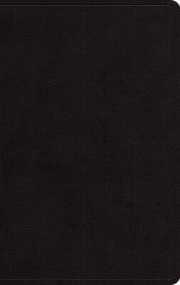 ESV Large Print Personal Size Bible (Black)