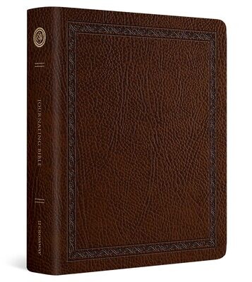 ESV Journaling Bible (Mocha, Threshold Design)