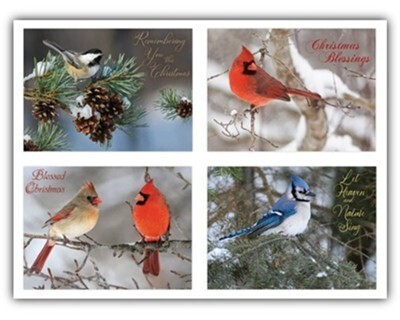 12 Card-Boxed-Christmas-Winter Birds