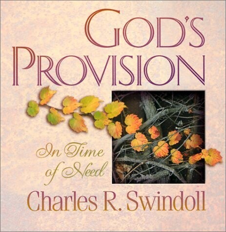 God's Provision in Time of Need..