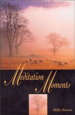 Meditation Moments (Daybreak Books)...