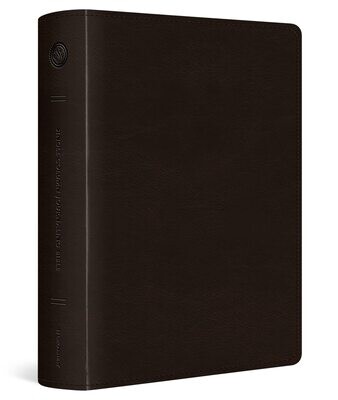 ESV Single Column Journaling Bible, Large Print (TruTone, Deep Brown)