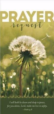 B&amp;H Publishing Group Guest Card-Safety Prayer Request (Pack of 50)