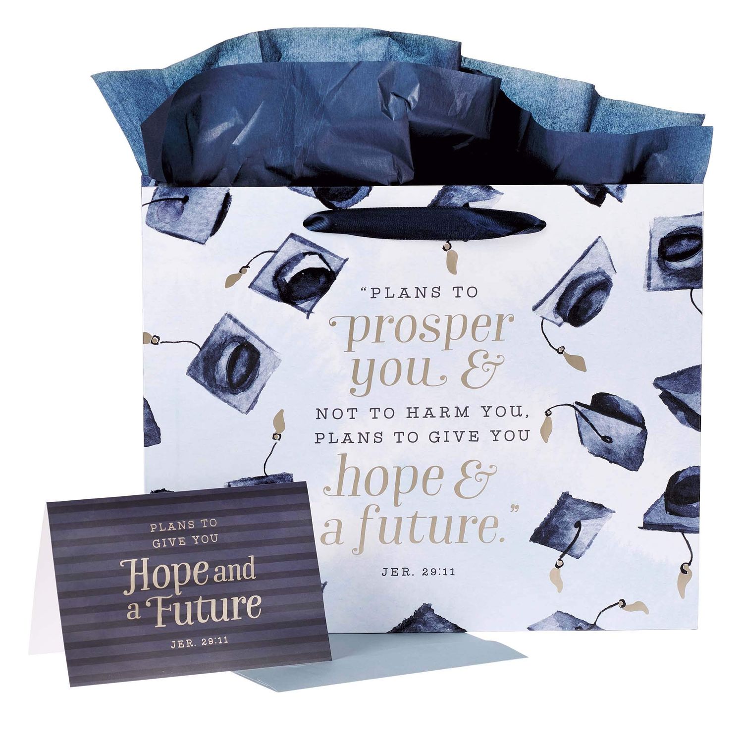 Christian Art Gifts Landscape Gift Bag with Card and Tissue Paper Set - Hope and A Future